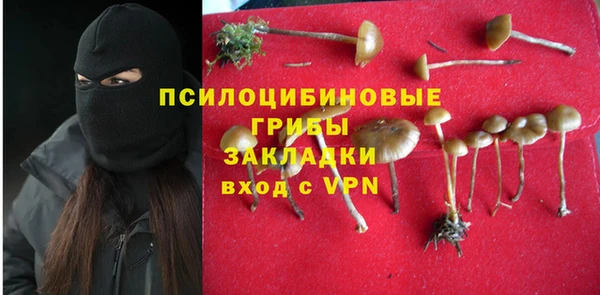 синтетический гашиш Алексин