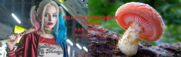 герыч Алзамай